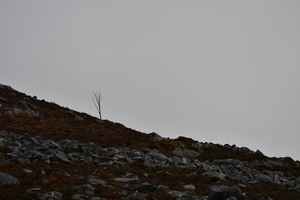 2018-11 Scotland/Pap of Glencoe/DSC_7005.JPG